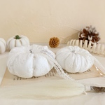 New再×5＊Cotton white pumpkin＊ホウキ付きB