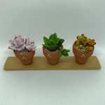 多肉植物の鉢植え 樹脂粘土 ミニチュア ちびっこ鉢3個セット