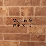  （mujisan様専用）【リング】ウッドビーズ カーテンタッセル 2本セット