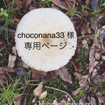 choconana33 様 専用ページ