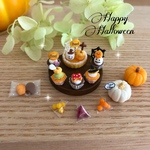 ミニチュア ハロウィン🎃