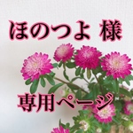 ほのつよ 様 専用ページ
