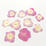 ふわふわpurple〜Rich purple mix＊紫陽花 押し花10枚