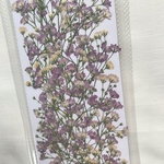 薄紫のかすみ草