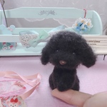 羊毛フェルト   専用ページトイプードルちゃん