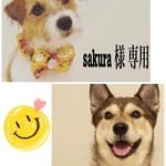 sakura サマ専用ウチのかわいこちゃんず