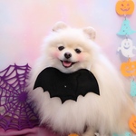 ハロウィンあぶちゃん💖コウモリ