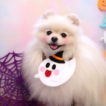 ハロウィンあぶちゃん💖イタズラおばけ