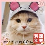送料無料☆彡2020年干支子年ネズミねずみ帽子風〜ネズミのかぶりもの  
