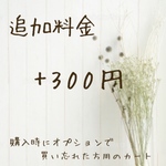 追加料金