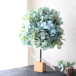 Ｋ様ご予約：水色ドライ紫陽花のツリー型トピアリー