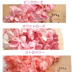 花材  ピンクミックス    ピラミッドアジサイ