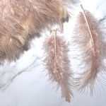 ふわふわ 羽根 フェザー