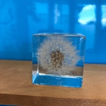 タンポポ綿毛のペーパーウェイト。インテリアオブジェにも♪♪
