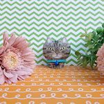 Yさま オーダーページ(190816)