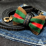 犬用首輪&リードセット