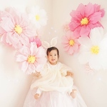 コスモス large 11点セット ❁ ジャイアントフラワー　