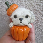 ハロウィン★シーズー②