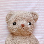 niimico teddy リトル