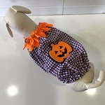 ハロウィンパンプキン（パープル）