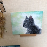 黒猫子猫