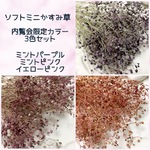 ソフトミニかすみ草 　内覧会限定カラー ３色セット - A　１パック　