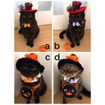 ハロウィンシュシュ首輪、猫ちゃんの首輪
