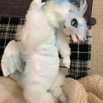 もちもち蛇腹の海のドラゴンさん