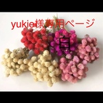 yukie様専用ページ☆ドライフラワー千日紅☆ドライフラワー花材