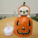ハロウィンランプ・ジャックオーランタン（ペキニーズ）