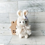 クリクリホワイトRabbit②