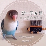 ぴー子★様 専用カート