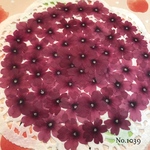 ♡new♡作家様必見♡ 人気のバーベナがいっぱい♡ 押し花セット