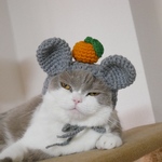 🍊ネズミ