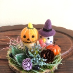 とりちゃんハロウィン🎃