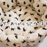 ［ａさま専用ページ］ベッド３点セット
