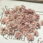 かすみ草 ドライフラワー    classic rose gradation 🌹