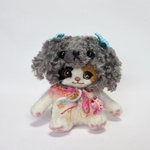 トイプーさん(三毛猫)