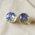 海の中のシェル（イヤリング／ピアス）