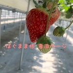 ぱぐまま様  専用ページ