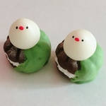 もち白文鳥の抹茶チョコのフレンチクルーラー 