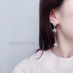 Silver Dome ピアス
