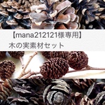 【mana212121様専用】木の実素材セット〈処理済〉 