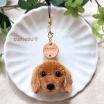 お名前入り🐶ミニチュアダックスのストラップ(レッド)＊受注制作
