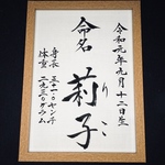【残り3名様!50%オフ】書道家の命名書