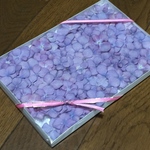 お花屋さんが作ったドライフラワー感謝の500セール   ③