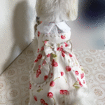 さくらんぼが、いっぱいの可愛いワンピース　犬用　S・Mサイズ