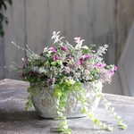 小さなお花の寄せ植え