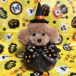 ハロウィン限定　おすわりトイプードル・ハロウィンバージョン（茶色、ドレスバージョン）