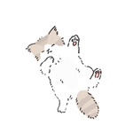 ▷専用ページ